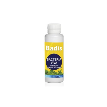 Badis Bacteria Viva