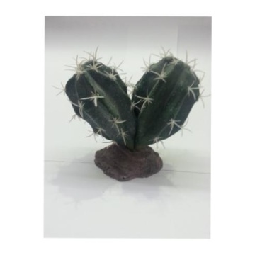 Arquivet Cactus