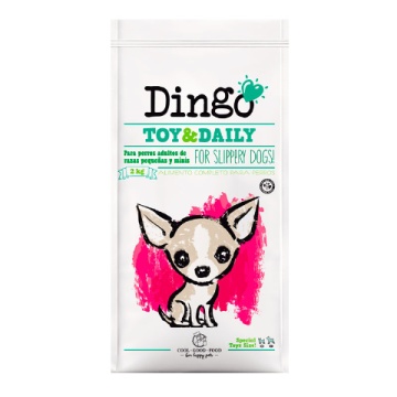 Dingo Toy Y Daily