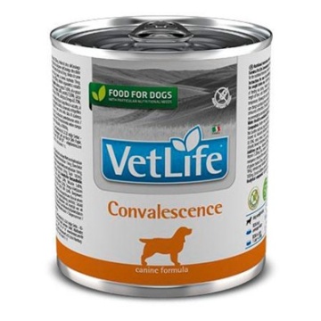 Vetlife Dog Convalescence