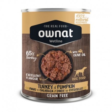 Ownat Turkey With Pumpkin Dog