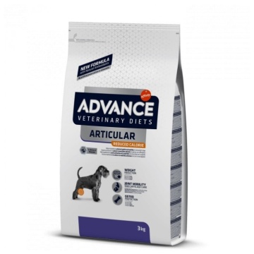 Avet Dog Articular Light