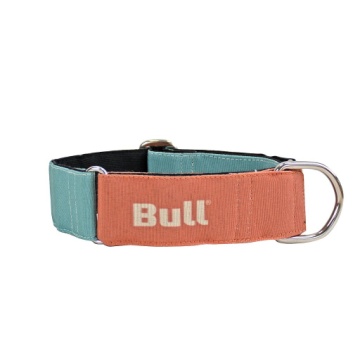 Bull Collar Galgo marino