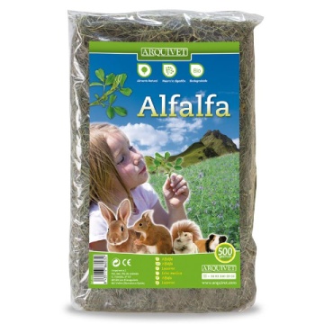 Arquivet Alfalfa