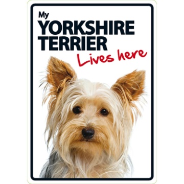 Magnet Y Steel Señal A5 Yorkshire Terrier Lives Here