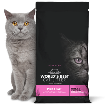 Worlds Best Cat Litter Arena Aglomerante Best Picky Cat